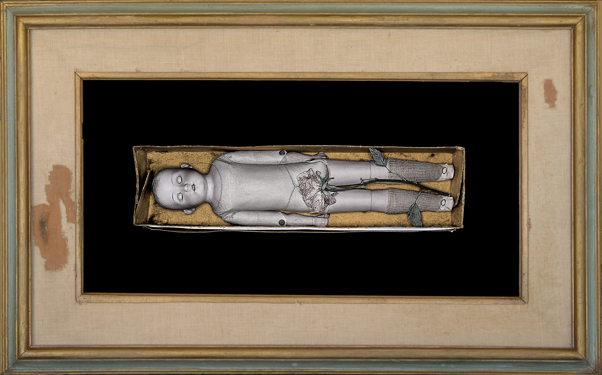 Cardboard  Cremation  Coffin