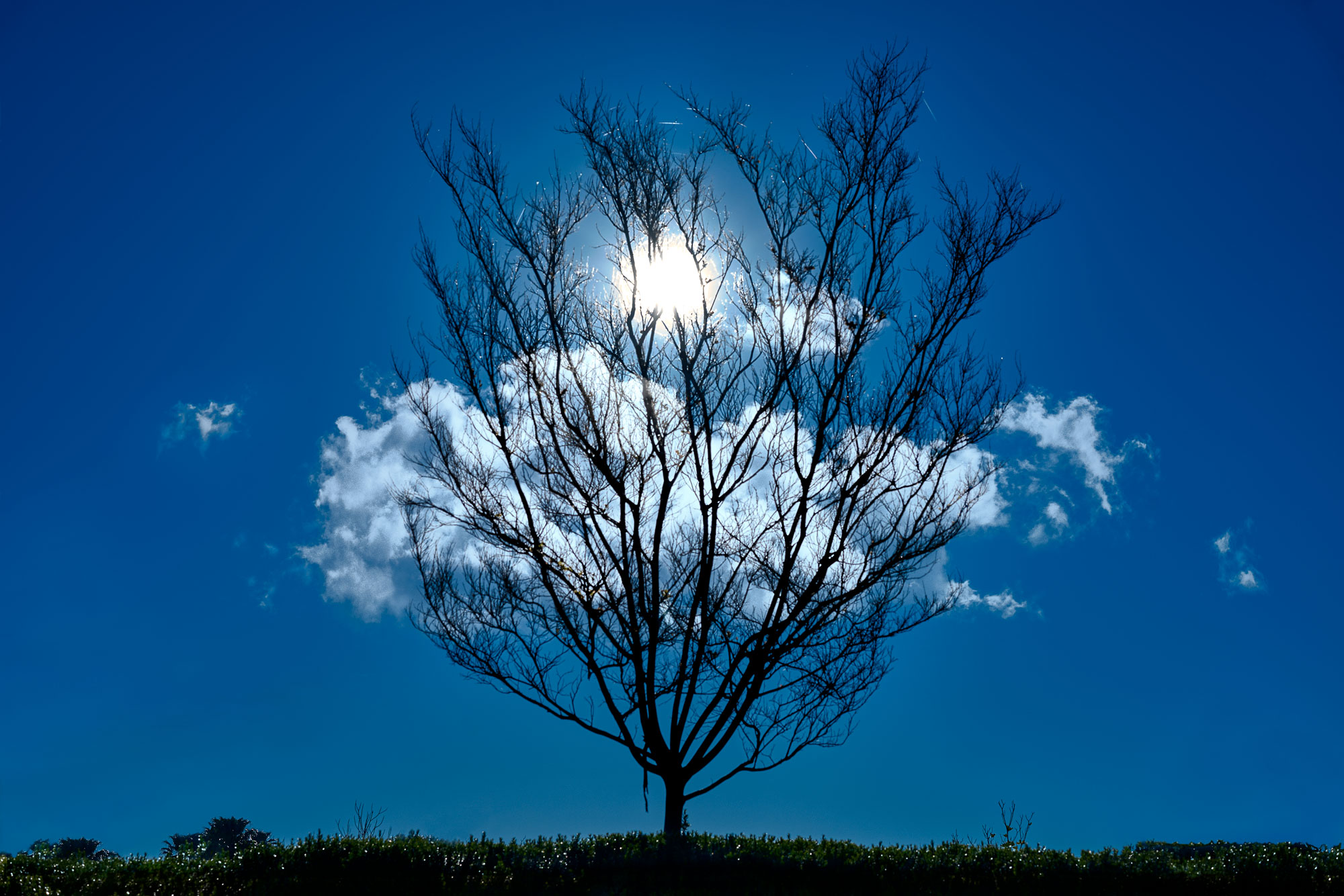 Un Nuage dans l