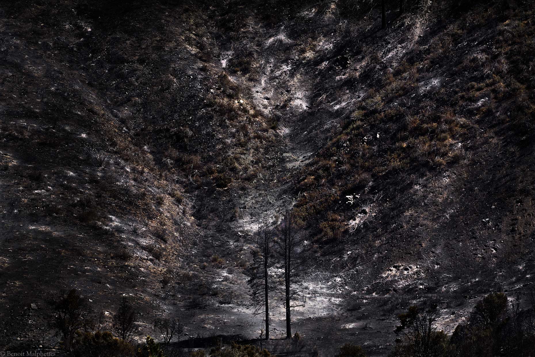 Blue Fire devastation views from Lone Pine Road . Photography by Benoit Malphettes on loan at the California Museum of Photography 