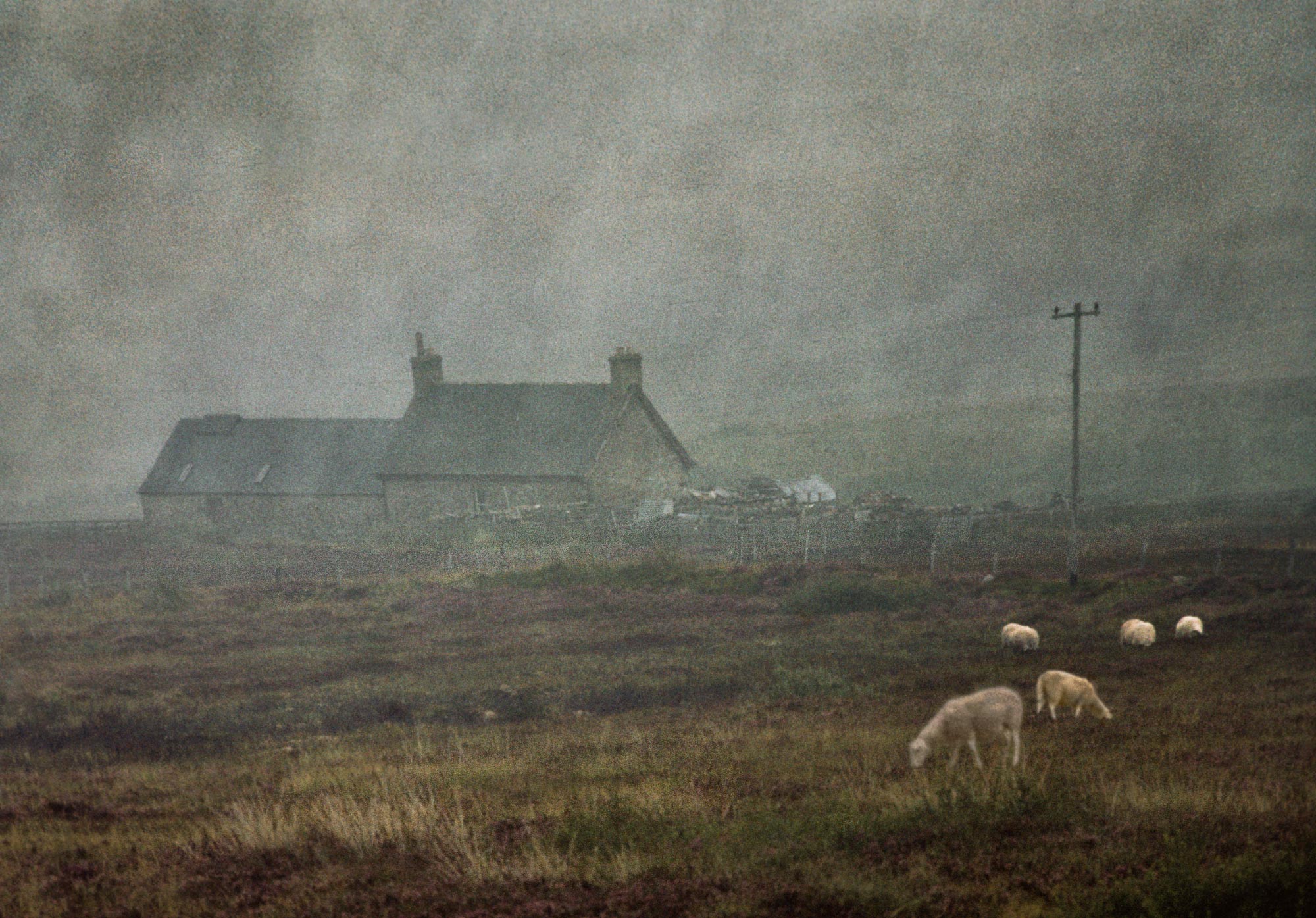 Scotland-49-1-web1395x2000G150-G8